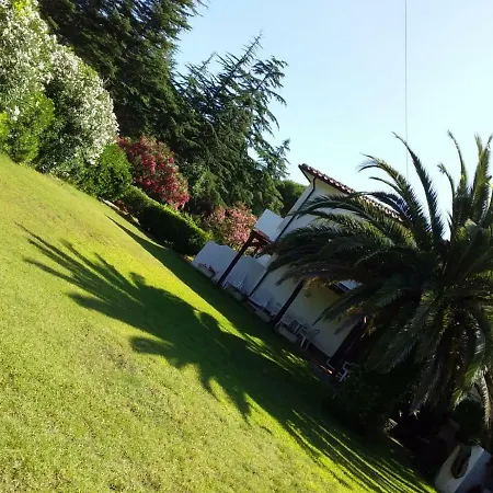Le Palme Apartment