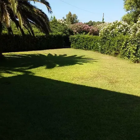 Le Palme شقة *