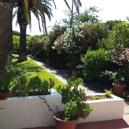 Le Palme كابوليفيري